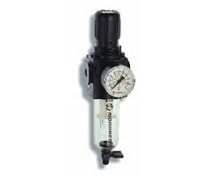 Excelon® Series 72 Manual Drain Filter Regulator 3/8BSPP