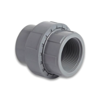 Vale® ABS Plain to Threaded Socket Union